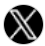 Icon to link to X website formerly Twitter